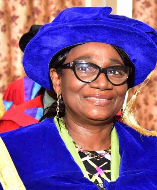 phot of Prof Ibironke Fuwape