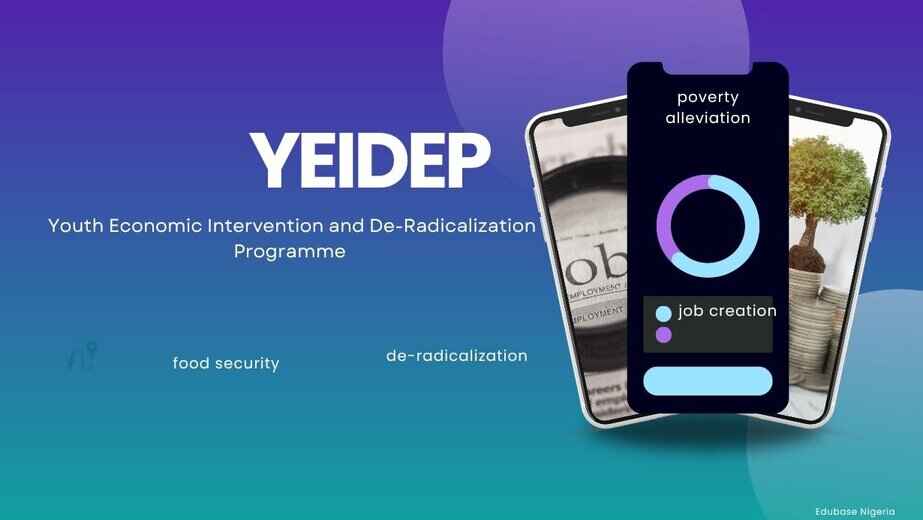 logo to symbolize youth_economic_intervention_and_de-radicalization_programme_yeidep